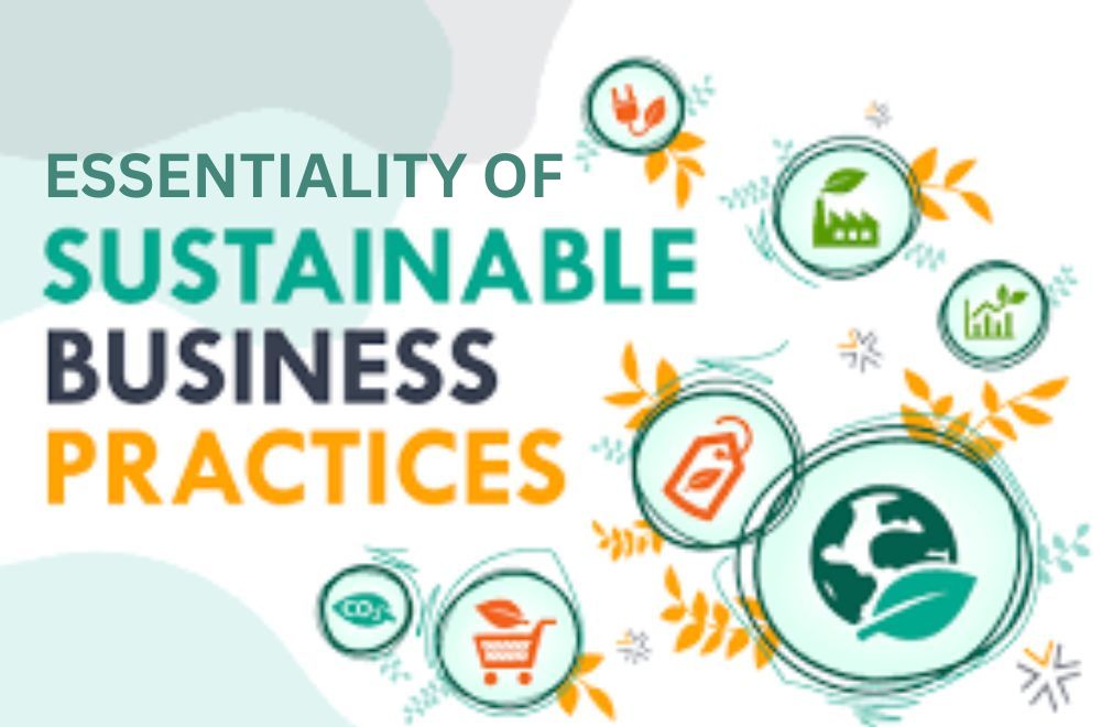 Blog - Essentiality of Sustainable Business Practices