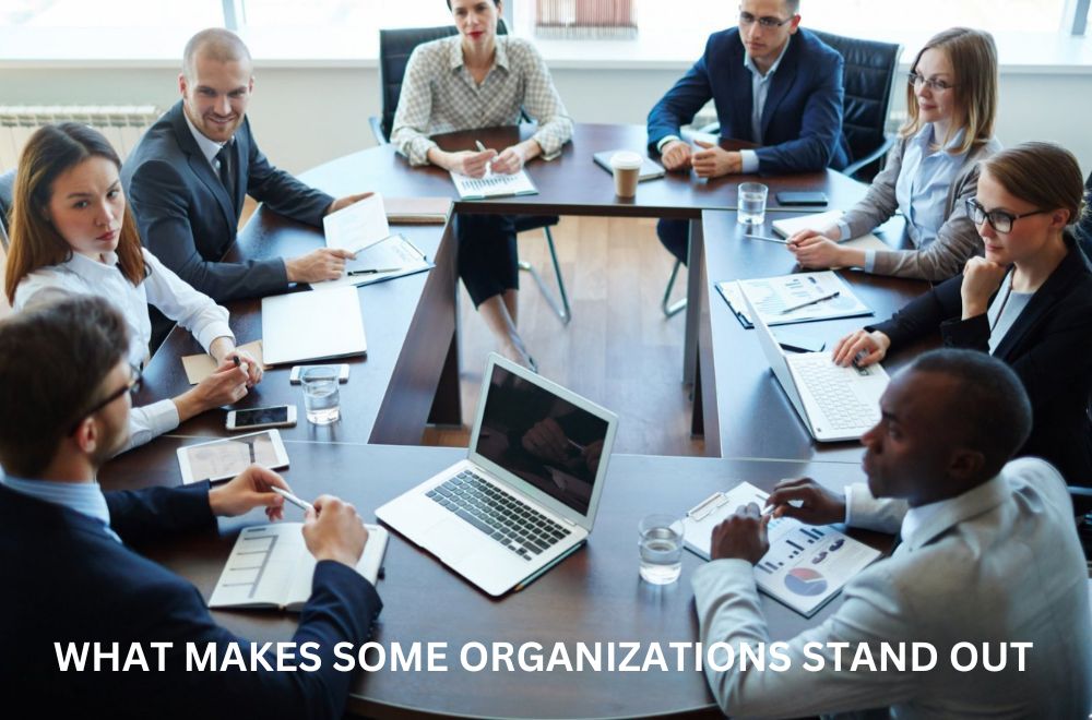 Blogs -  What makes some organizations stand out
