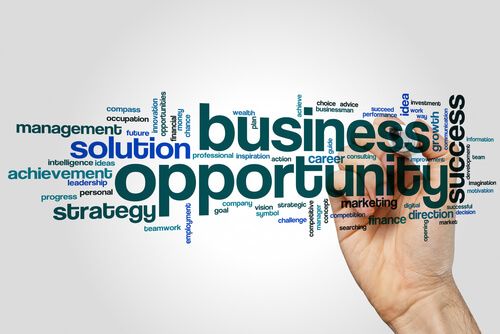 business-opportunities-in-india